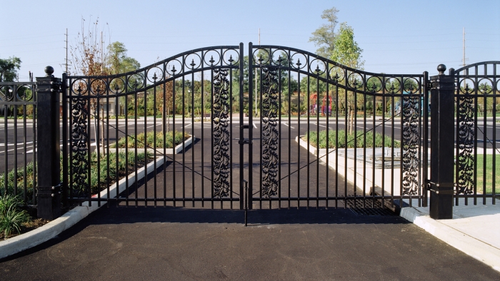 Arched Ornamental Iron Gates with Grape Vine Inlay