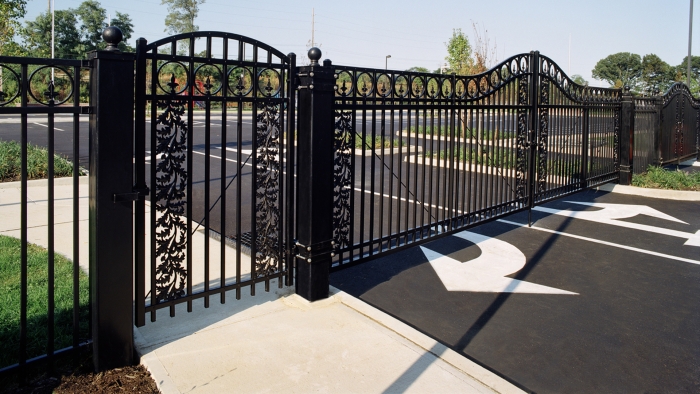 Arched Ornamental Iron Gates with Grape Vine Inlay and Flor-de-lis 