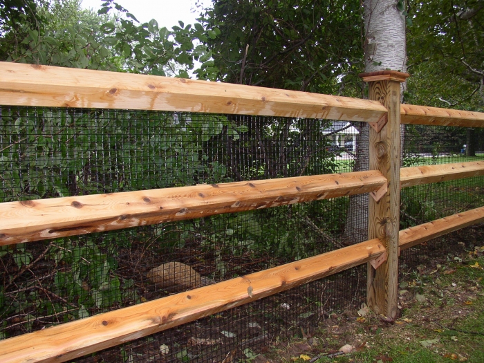 Diamond Post and Rail Fencing with Yard Guard Attached